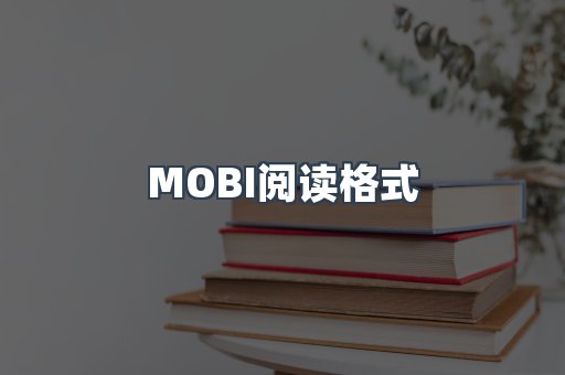 MOBI阅读格式